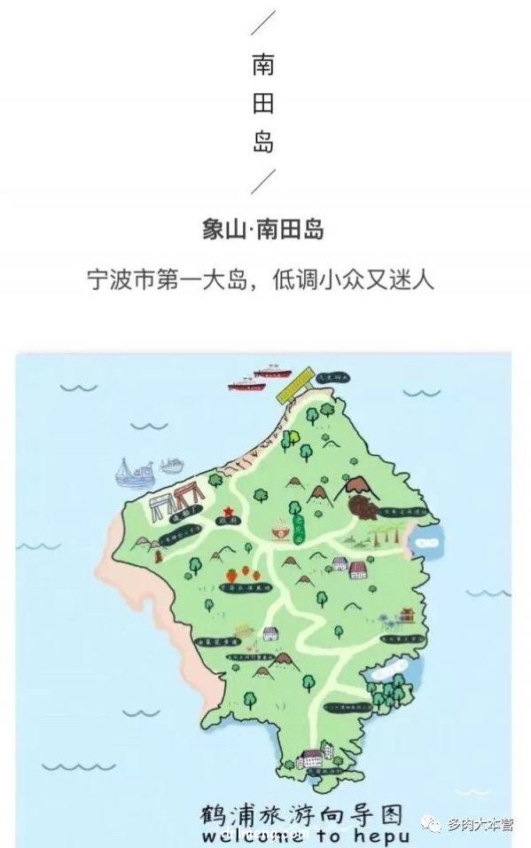 浙经宁波南田岛上的多肉