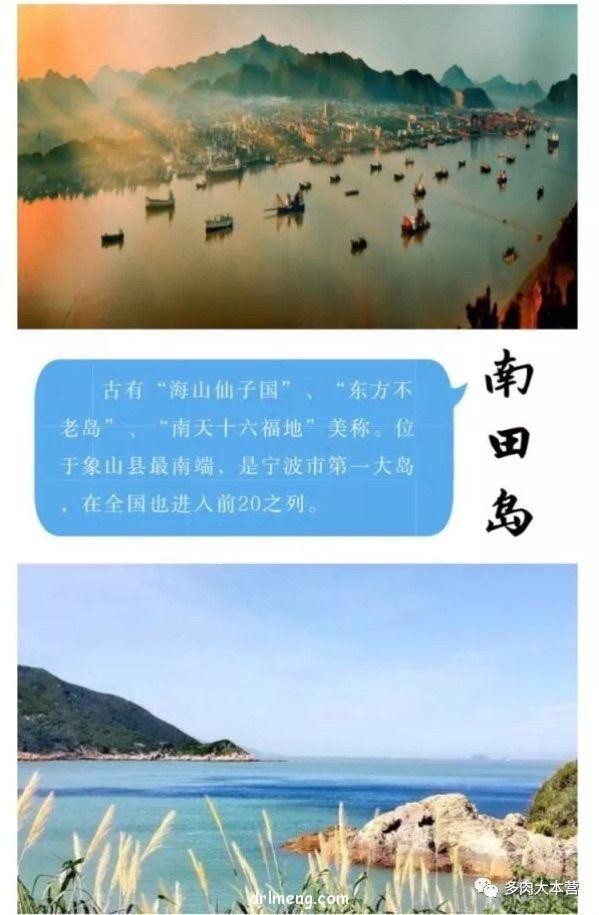 浙经宁波南田岛上的多肉