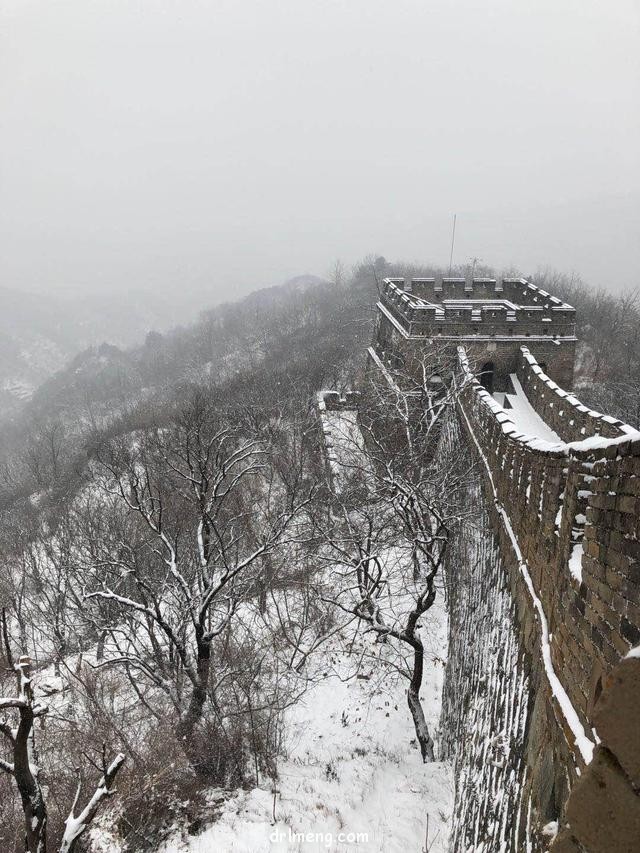 2018北京下了雪，那时的多肉