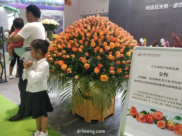 19届中国昆明花卉展的多肉