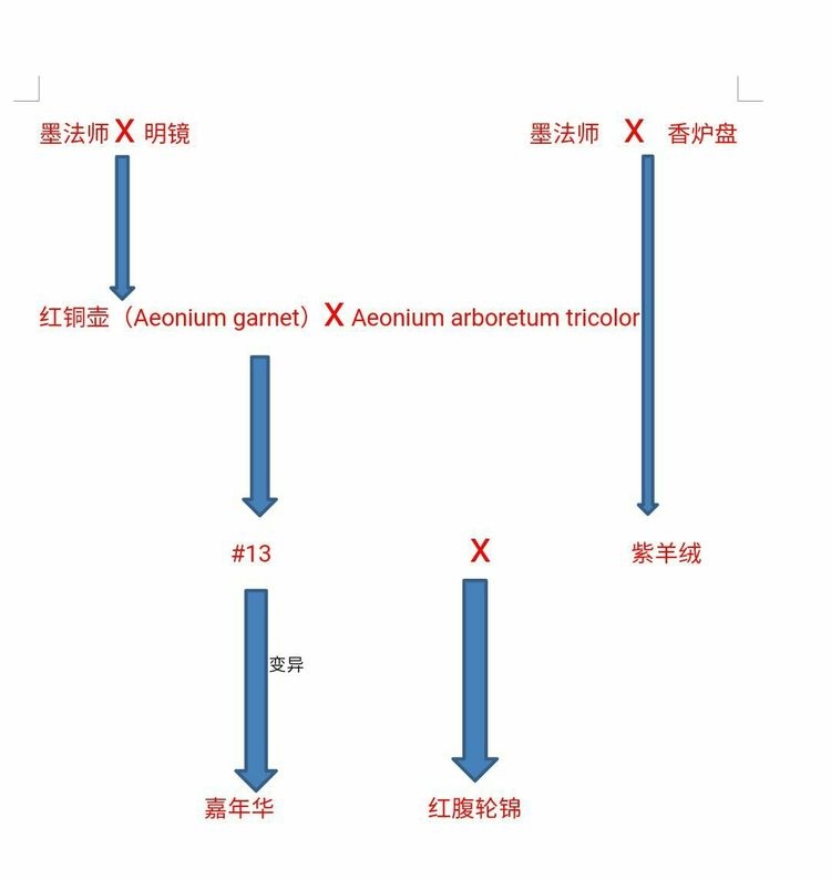 红铜壶法师和黑铜壶法师的区别