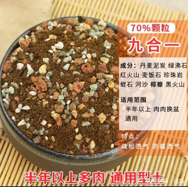 买多肉的优惠方式