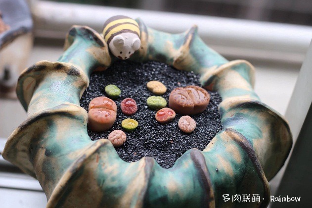 好看的盆搭配好看的多肉