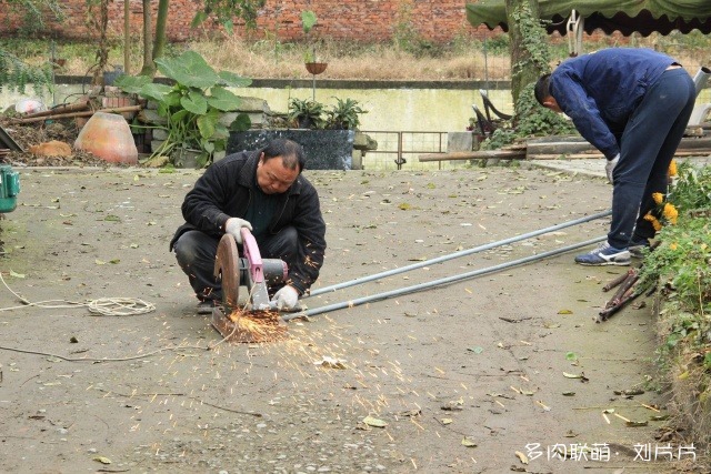 家养多肉大棚的变化历程