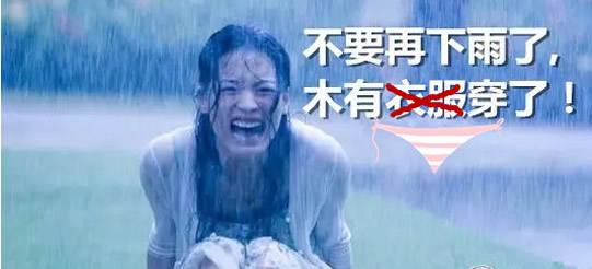 南方连续雨天里的多肉