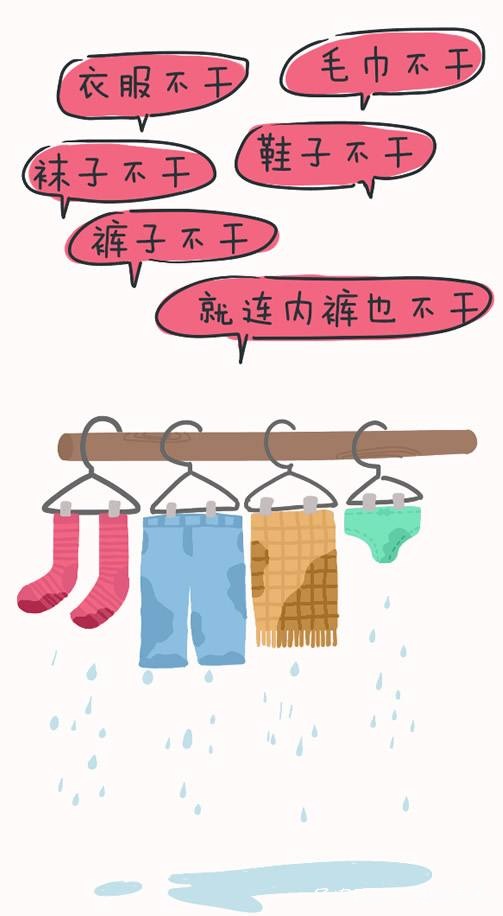 南方连续雨天里的多肉