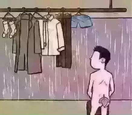 南方连续雨天里的多肉