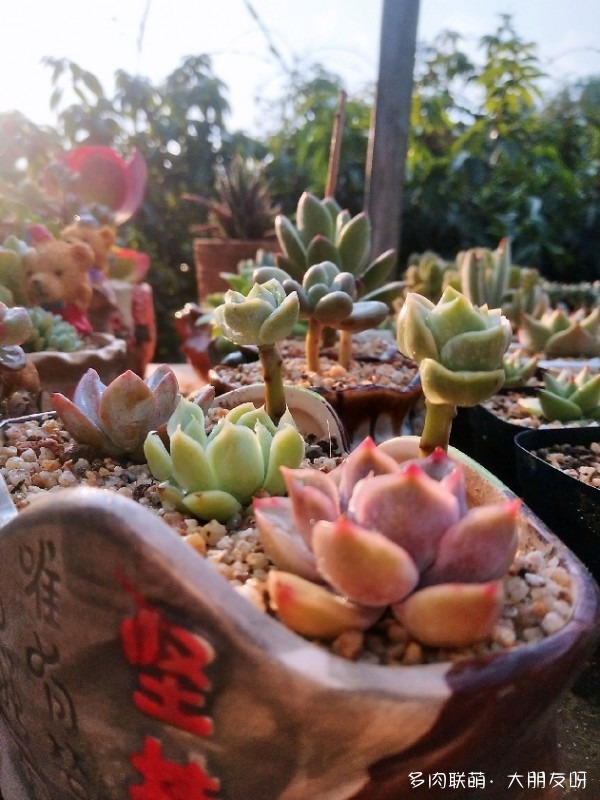 有些故事，没有答案