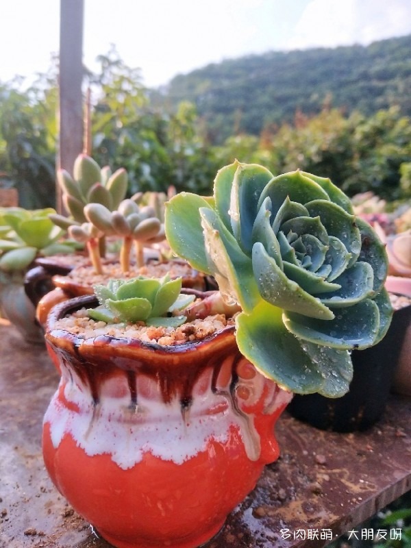 有些故事，没有答案