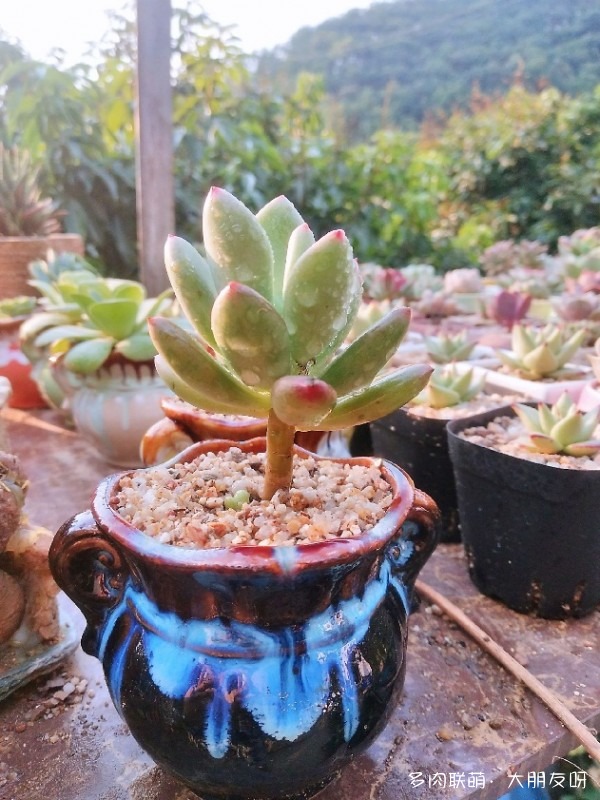 有些故事，没有答案