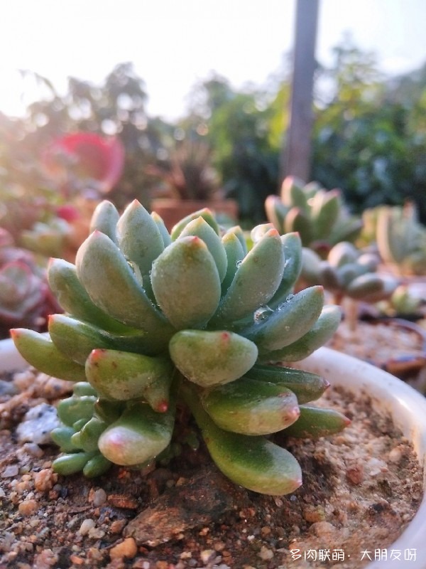 有些故事，没有答案