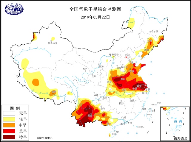 云南大理，长生草