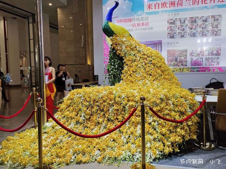 2019中国昆明国际花卉展