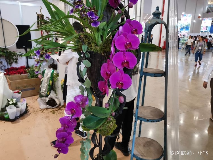 2019中国昆明国际花卉展