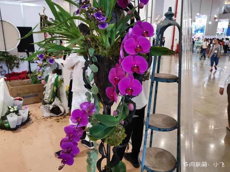 2019中国昆明国际花卉展