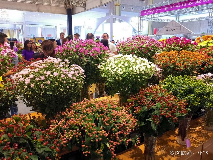 2019中国昆明国际花卉展