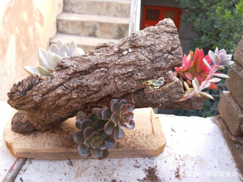 水泥、石头、木头、砖头做成的花盆