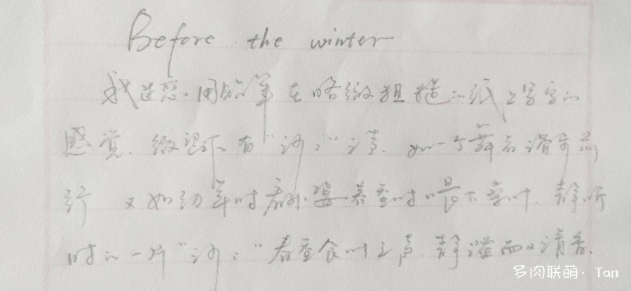 手稿
