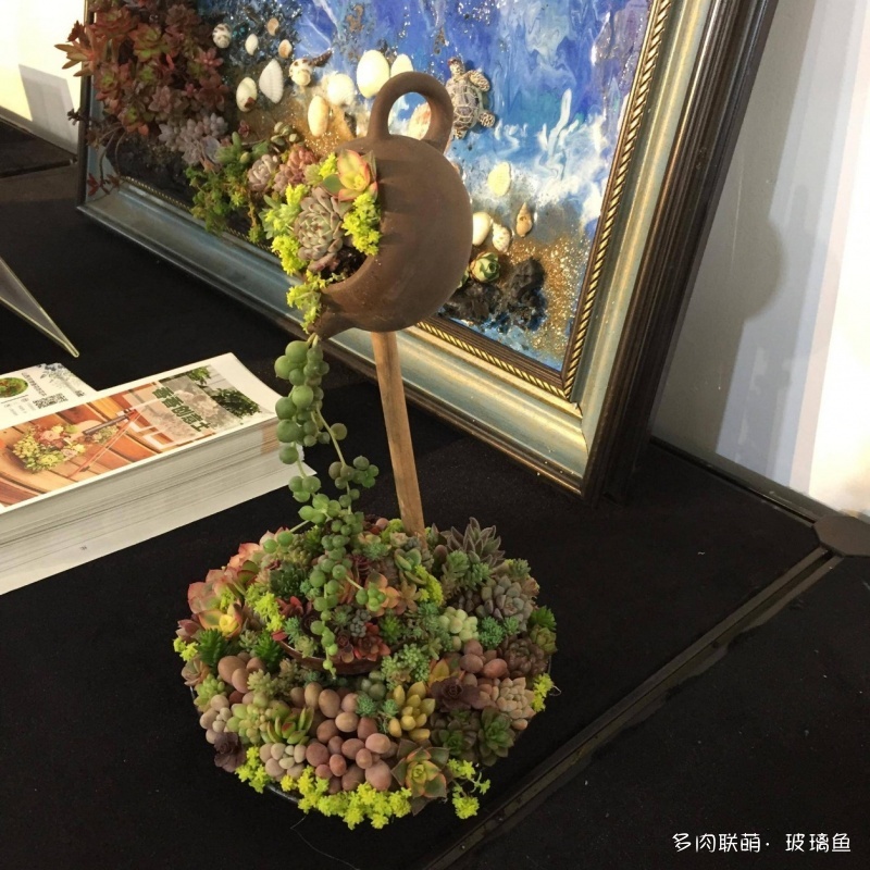 2019上海多肉展，展出的多肉