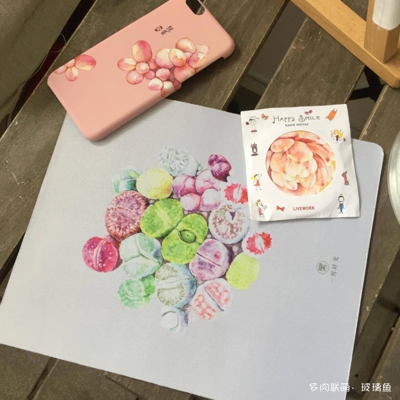 2019上海多肉展，展出的多肉