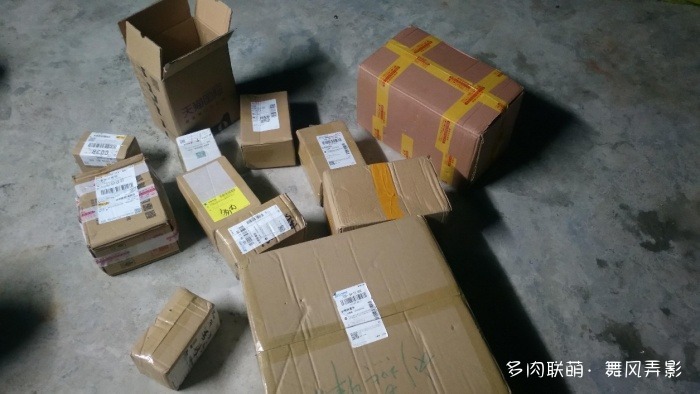 双十一，买的一堆多肉