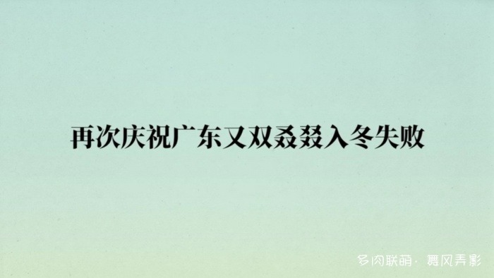 双十一，买的一堆多肉