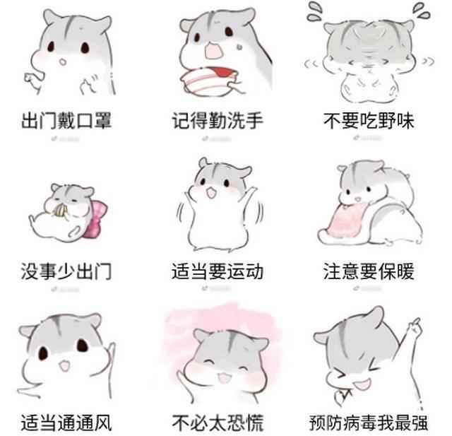 呆家里，看多肉