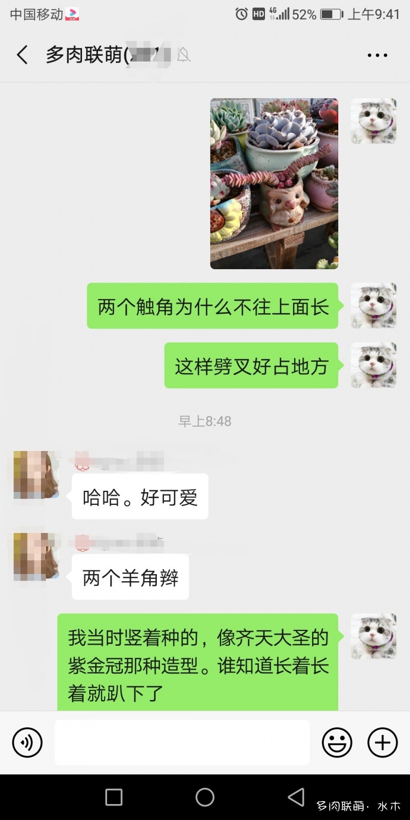 换盆前后的多肉