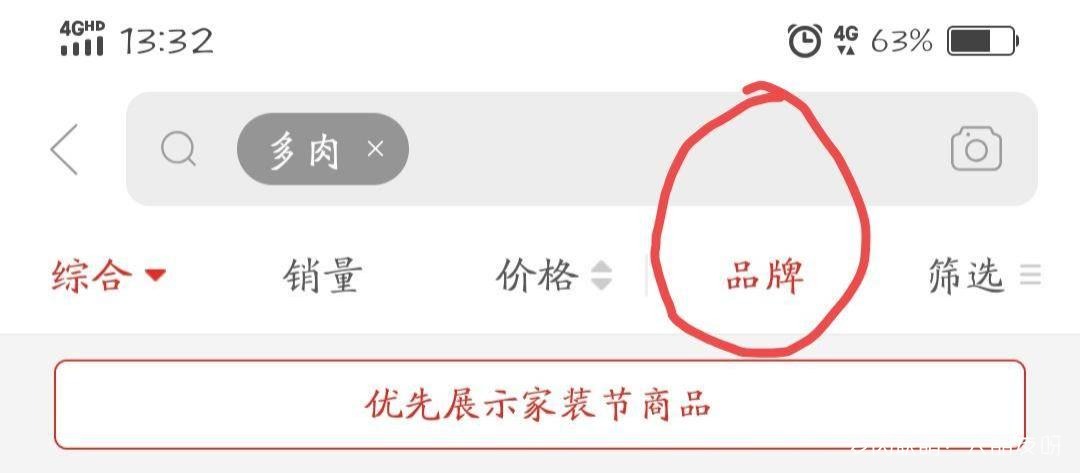 云南西双版纳的多肉成长变化