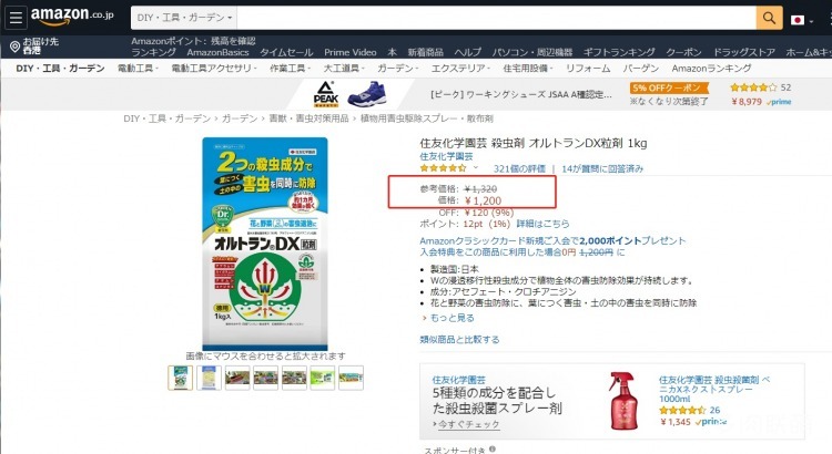 dx小白药价格
