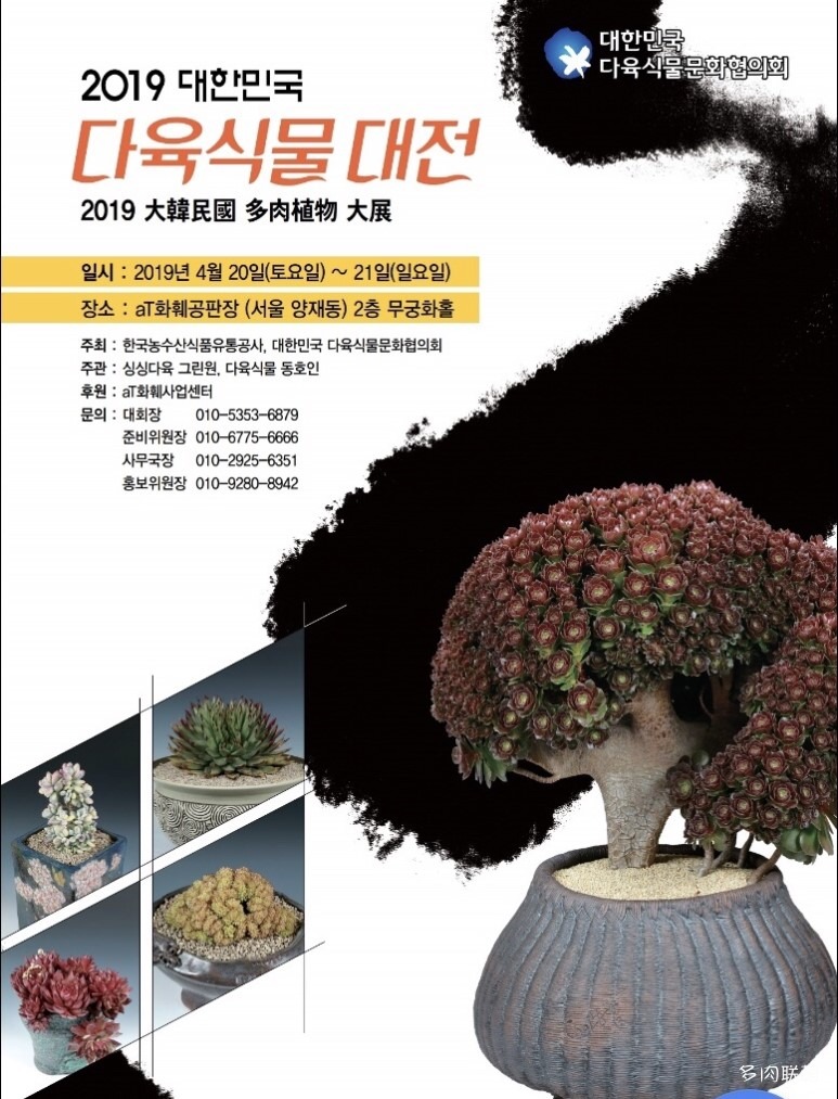 韩国多肉植物大展