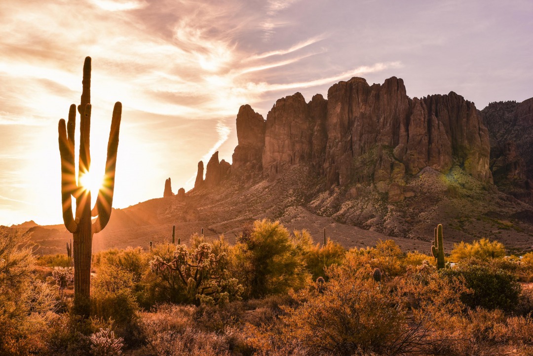 亚利桑那州巨人柱国家公园（Saguaro National Park）