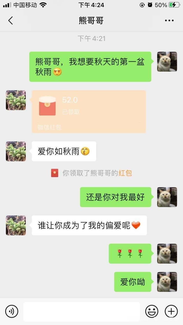 聊微信的多肉