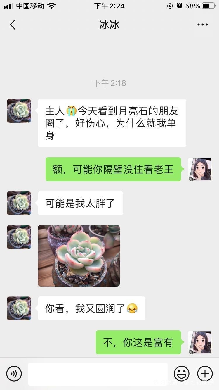 聊微信的多肉