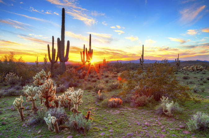 亚利桑那州巨人柱国家公园（Saguaro National Park）