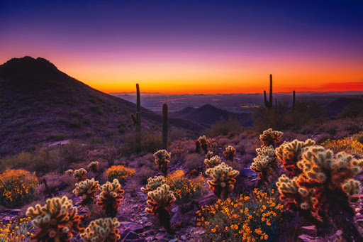 亚利桑那州巨人柱国家公园（Saguaro National Park）