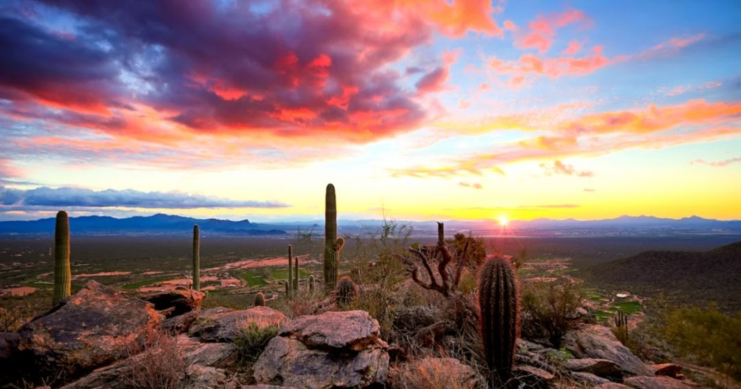 亚利桑那州巨人柱国家公园（Saguaro National Park）