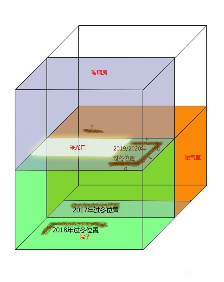 北方多肉越冬，保温与被冻伤