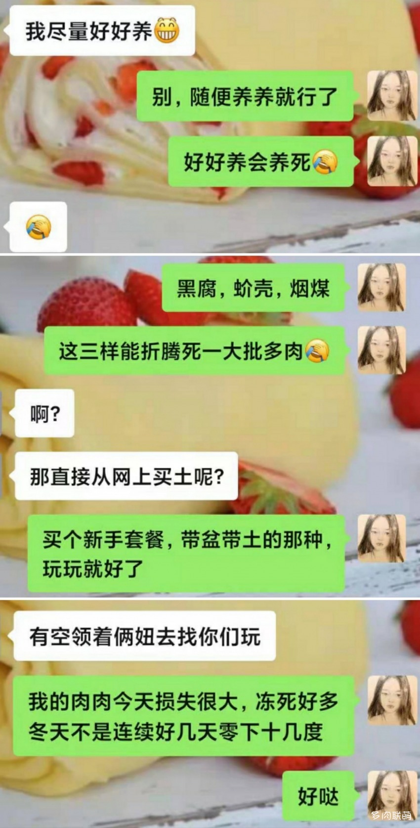 被人索要多肉的心情