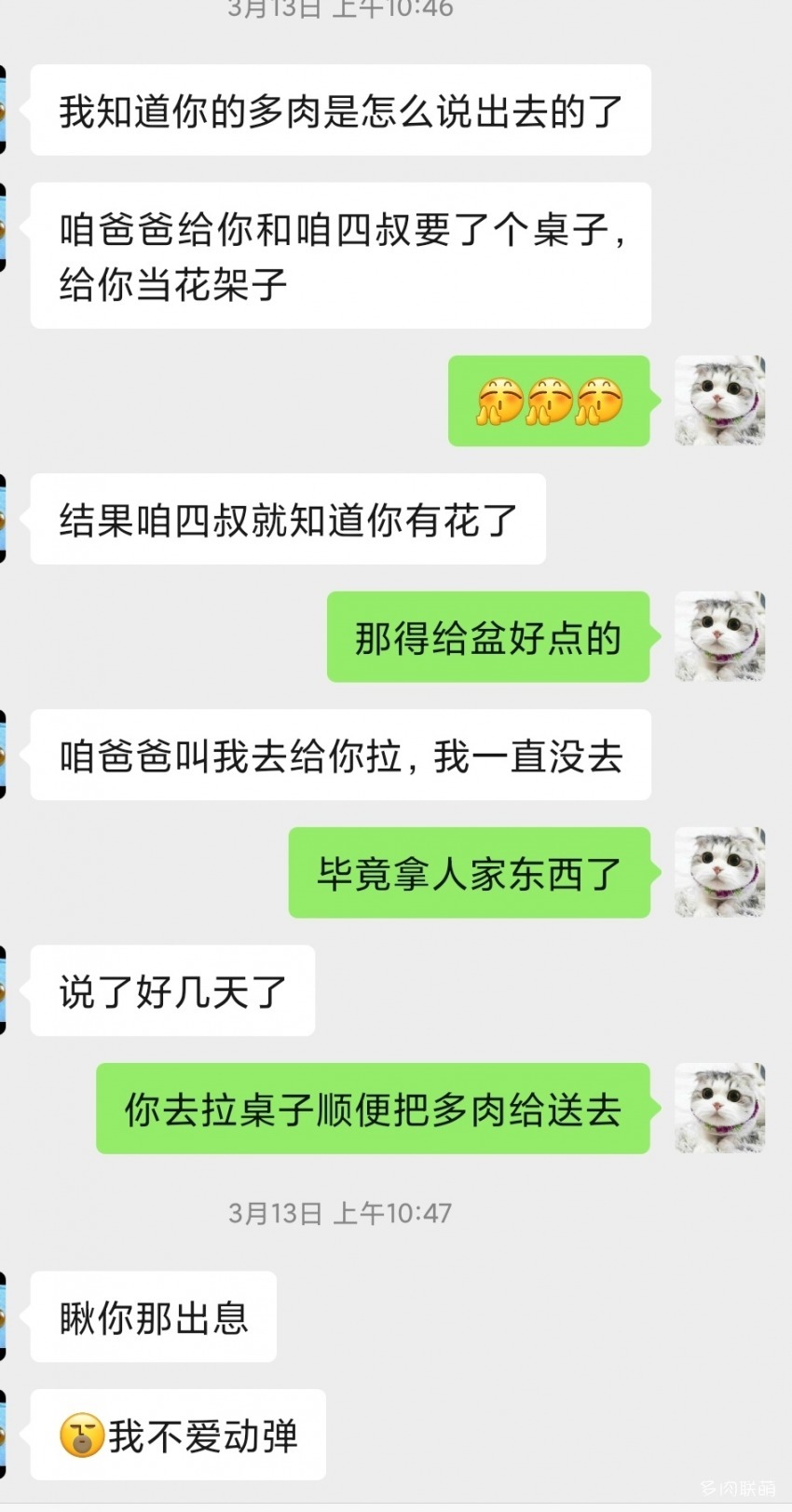 被人索要多肉的心情