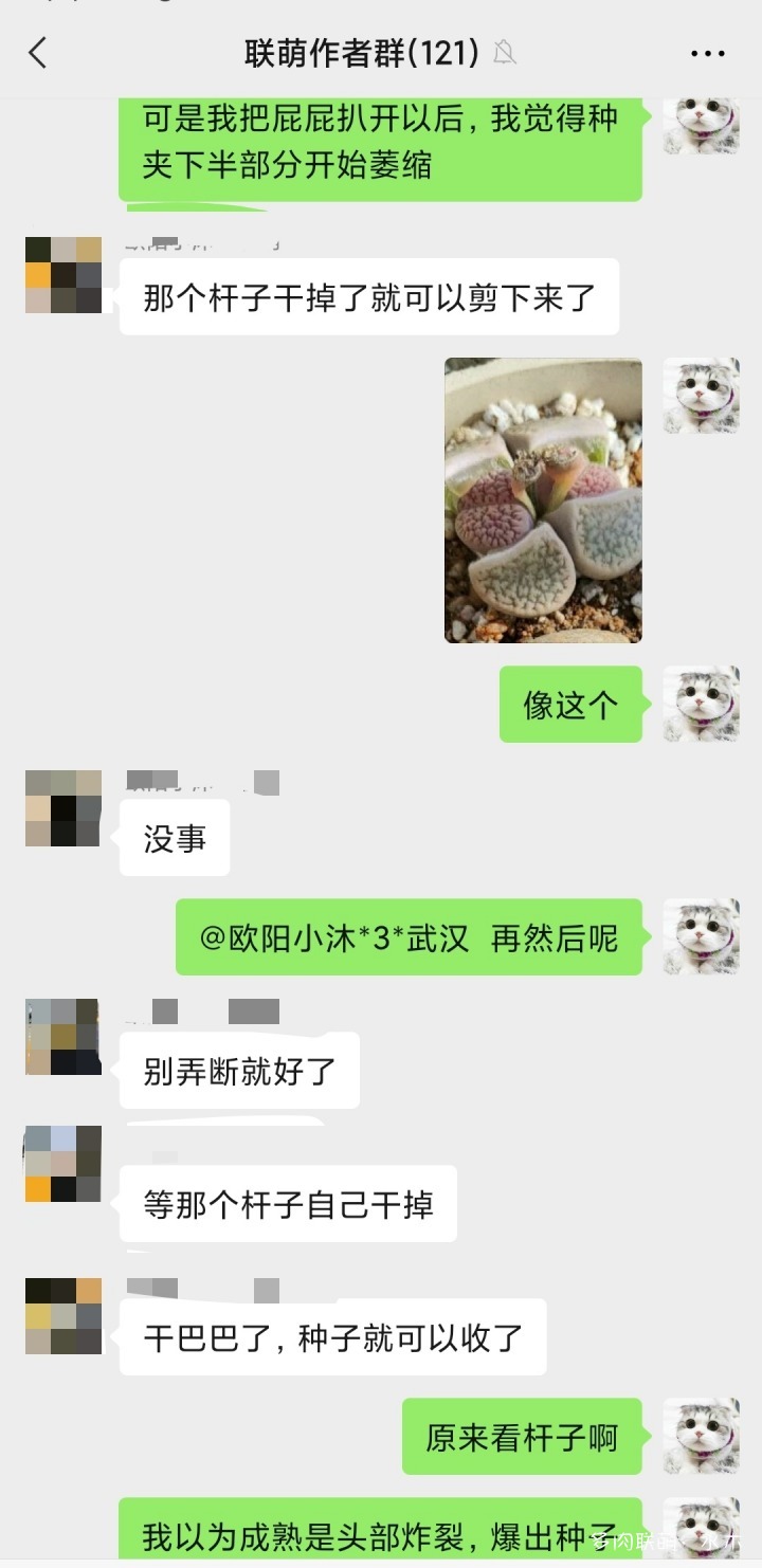 手动给多肉蜕皮