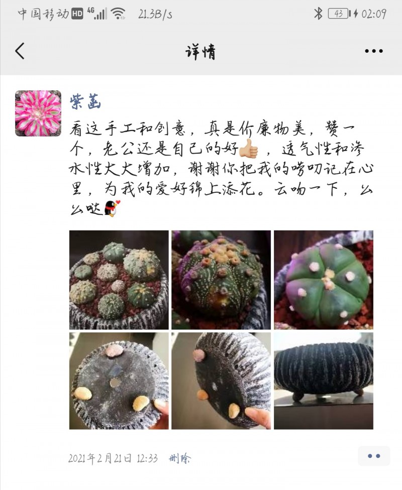 广西，仙人掌系列多肉