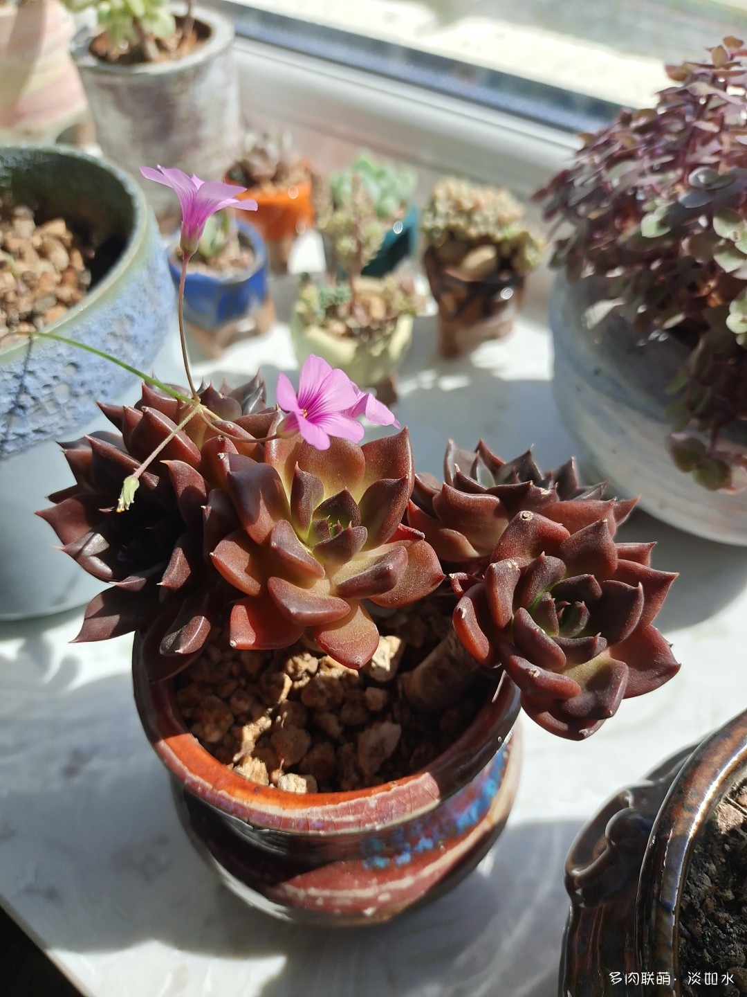黑王子