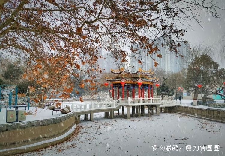 雪景