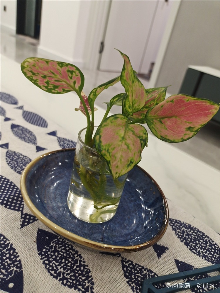 水如意