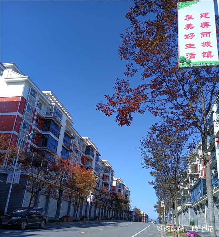 麻车风光