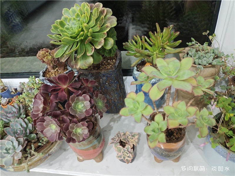 法师