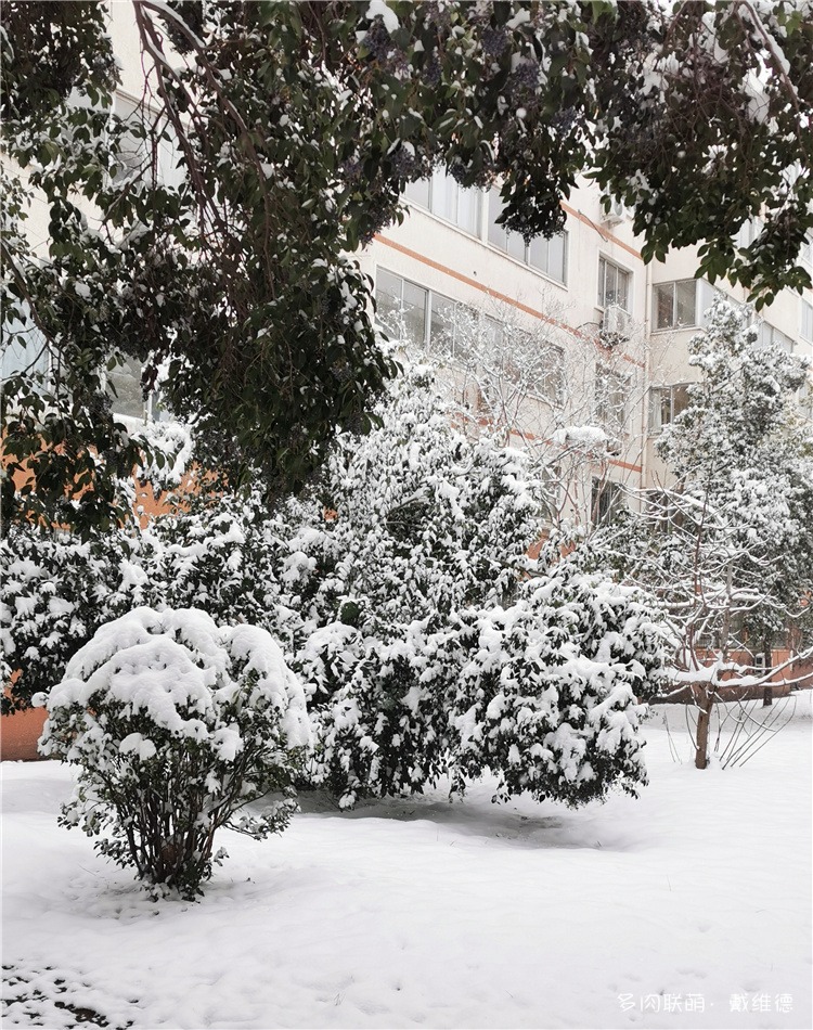 春节前的那场雪