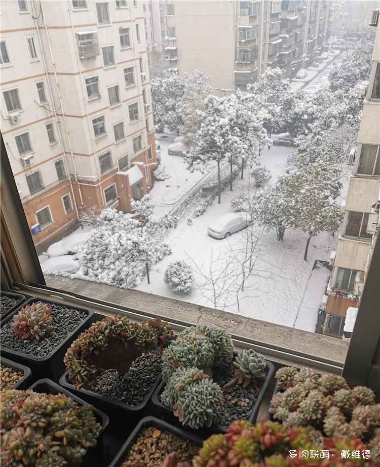 春节前的那场雪