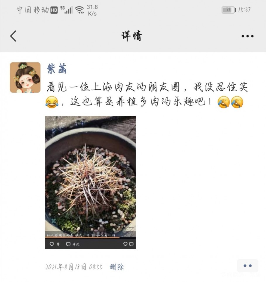 忍俊不禁，死了一年的仙人球